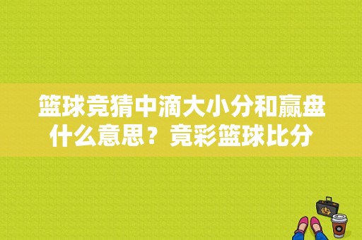 篮球竞猜中滴大小分和赢盘什么意思？竟彩篮球比分