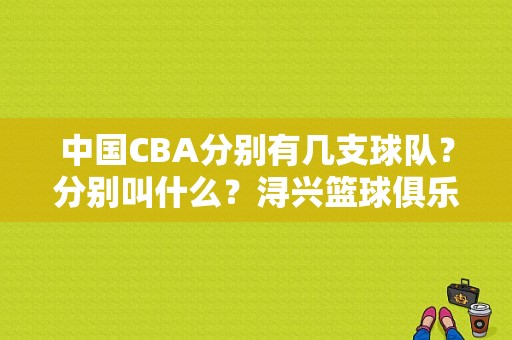 中国CBA分别有几支球队？分别叫什么？浔兴篮球俱乐部